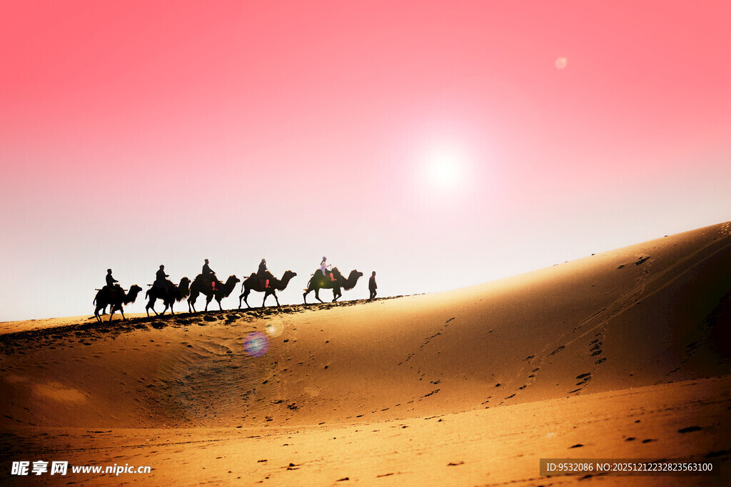 沙漠驼队