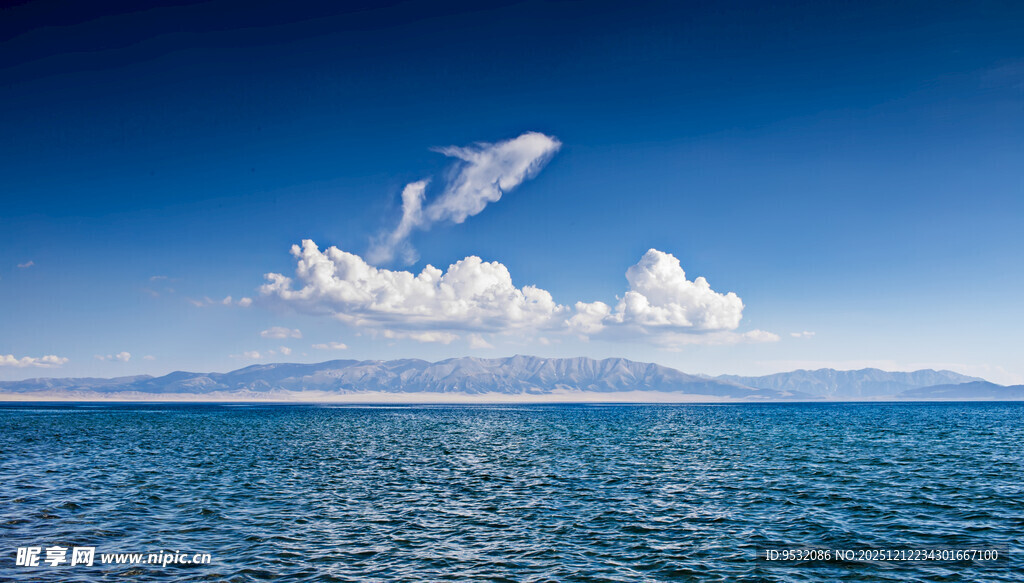 碧海蓝天间的飞鸟美景