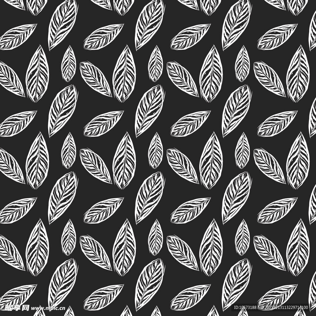 黑白叶形图案纹理背景