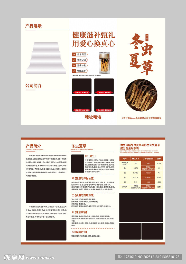 冬虫夏草三折页