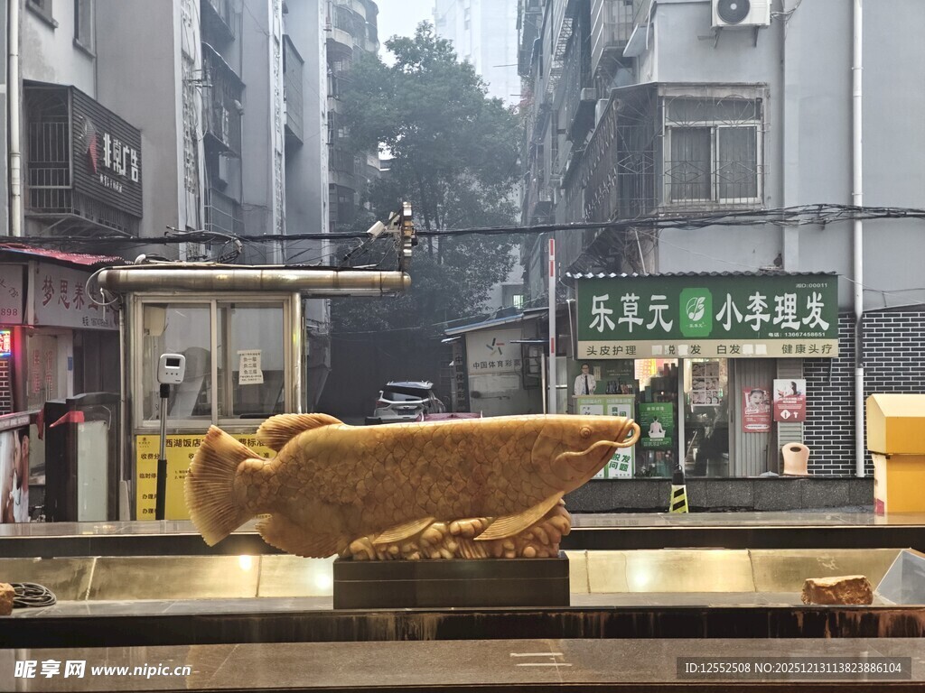 街边橱窗里的金色摆件