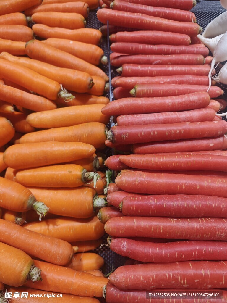 多彩胡萝卜整齐排列展示