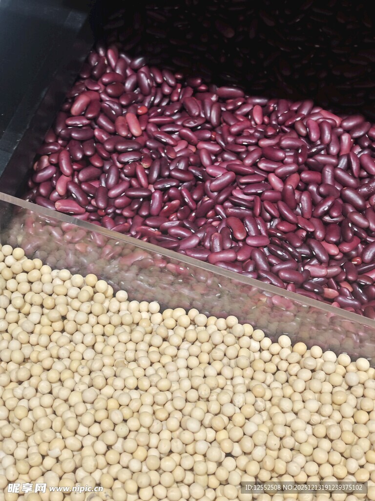 多彩豆类展示