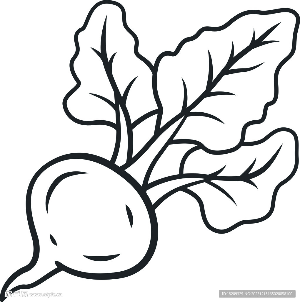 手绘萝卜简笔画