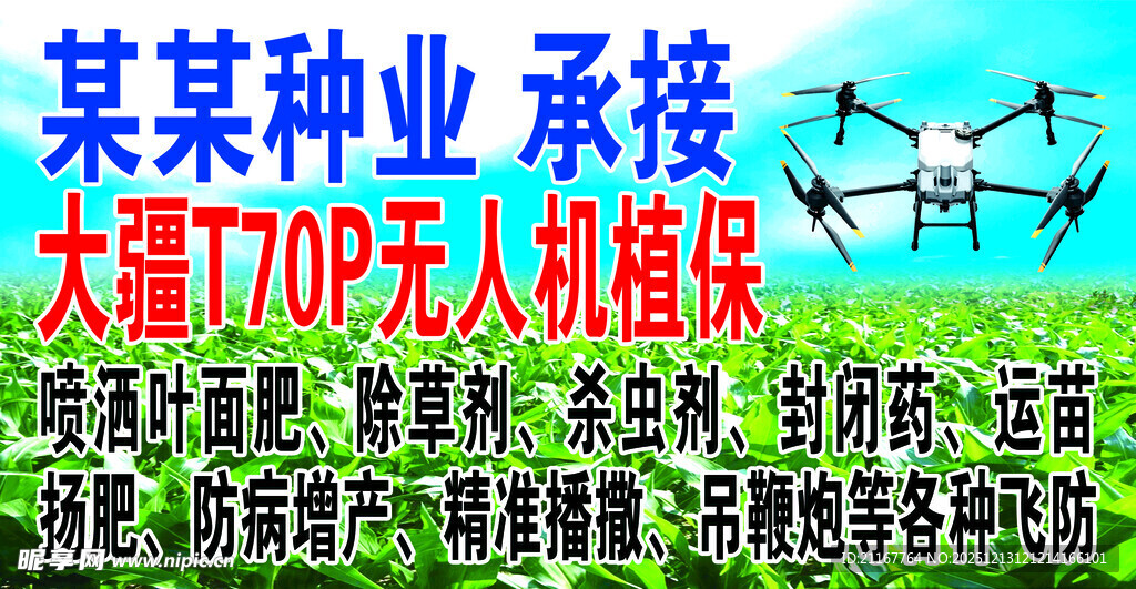 无人机植保 叶面肥 绿色玉米地