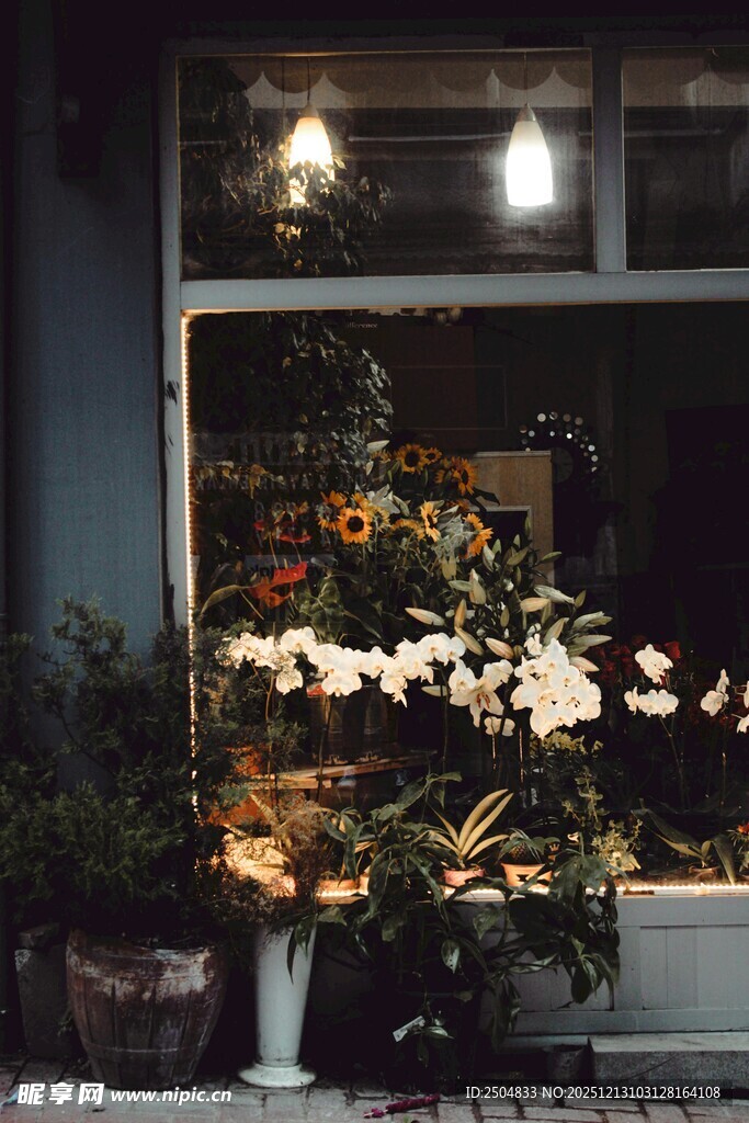 窗前花卉景观