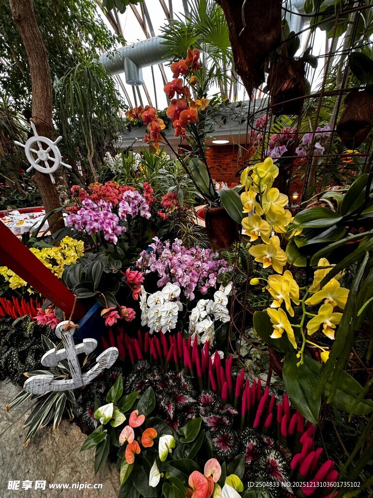 缤纷多彩的花卉景观