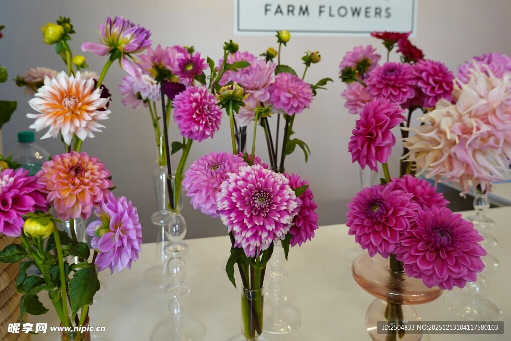 多彩鲜花装点优雅花瓶
