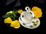 精致茶具配娇艳黄玫瑰