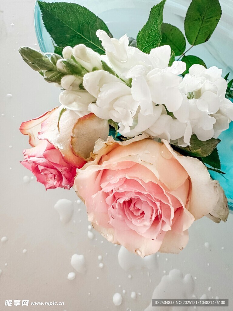 清新花卉组合 绽放优雅美