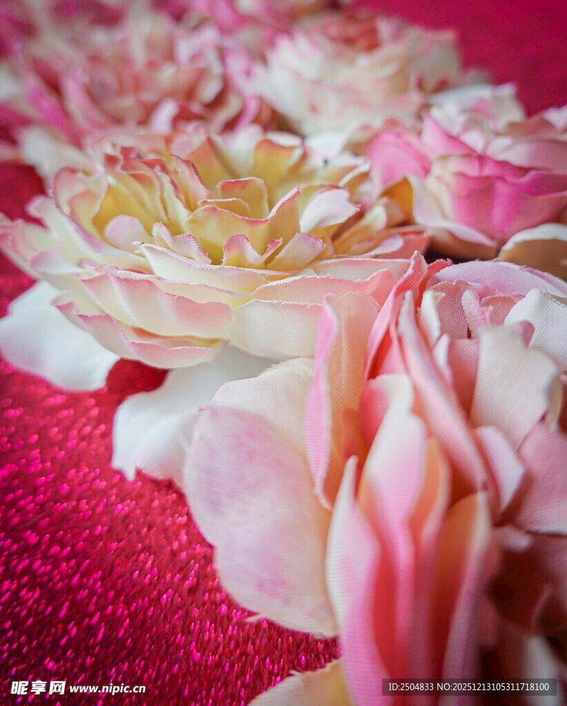 粉色柔美花卉特写