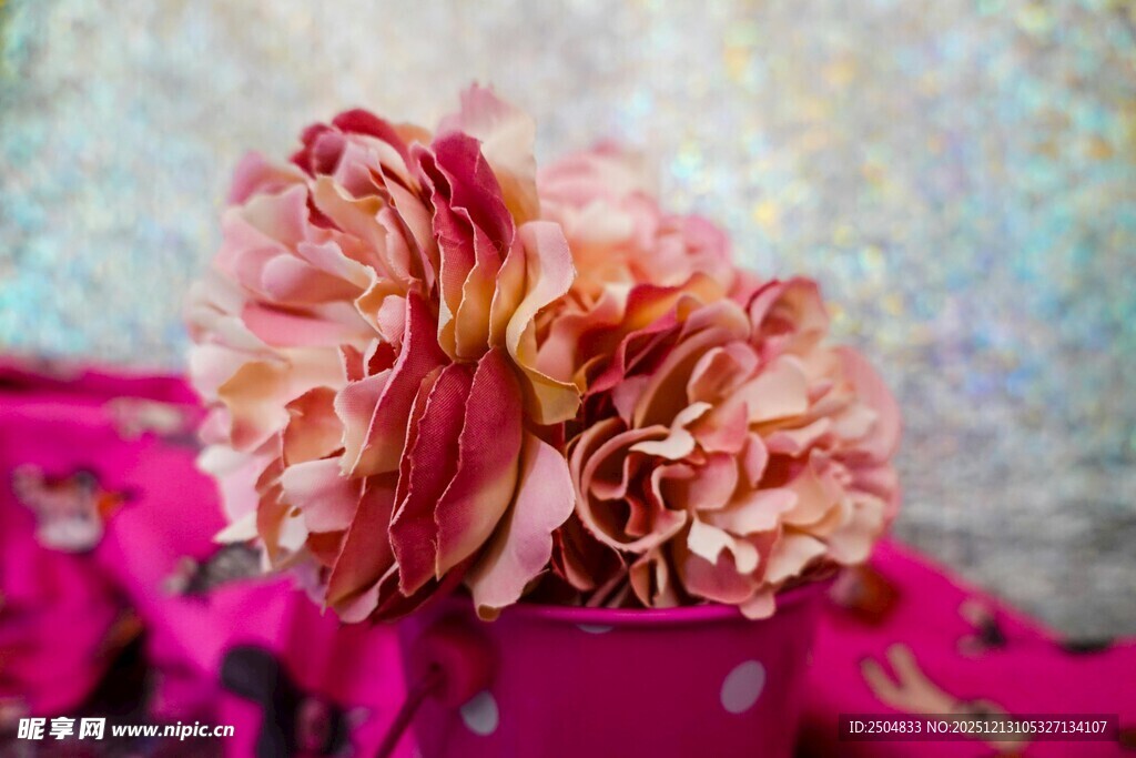 粉色绚烂花朵特写