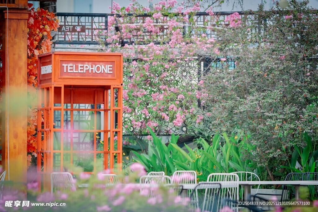 复古电话亭旁的繁花景致
