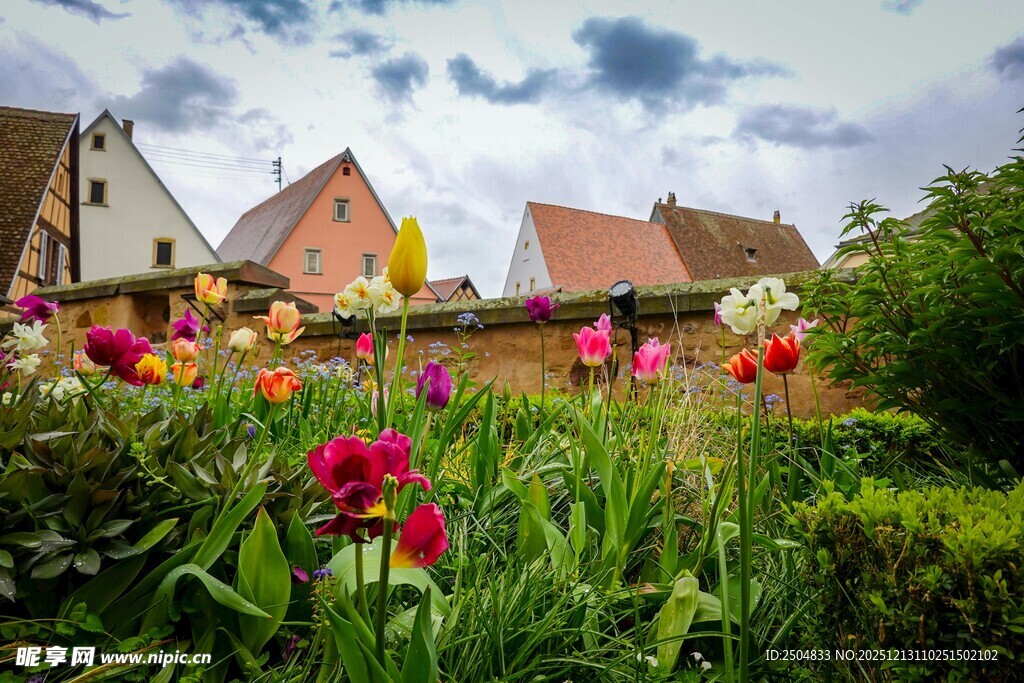 多彩花田旁的欧式风情小屋