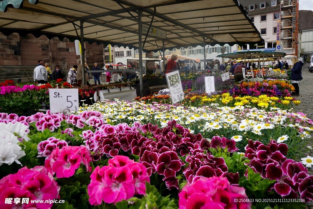 缤纷花卉集市一角