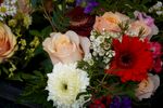 多彩鲜花组合