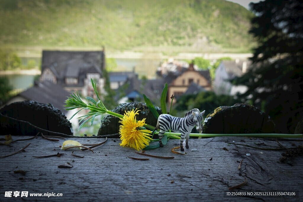 石上小花与透明摆件