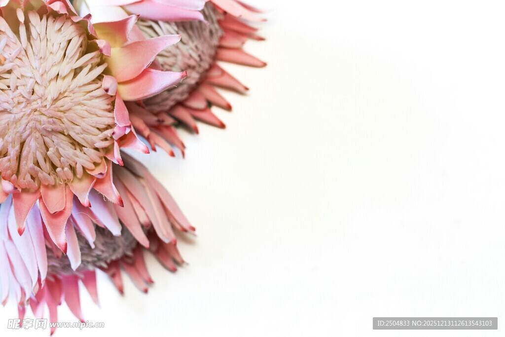 多彩立体花朵艺术装饰