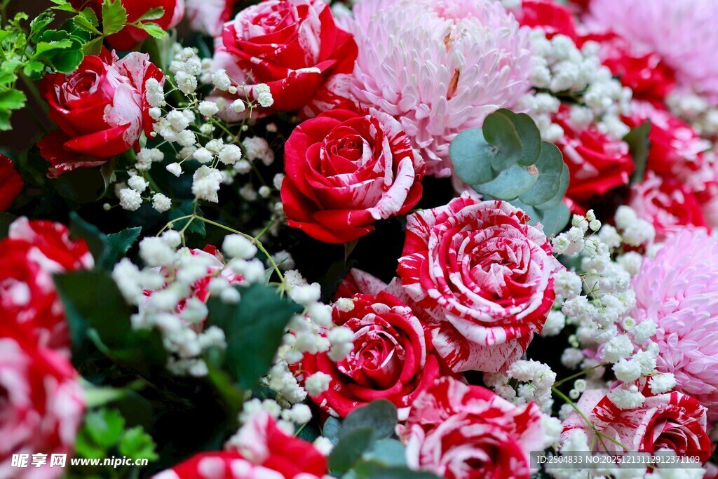 娇艳红玫瑰与白色点缀