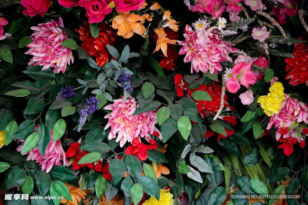 多彩花卉绽放生机