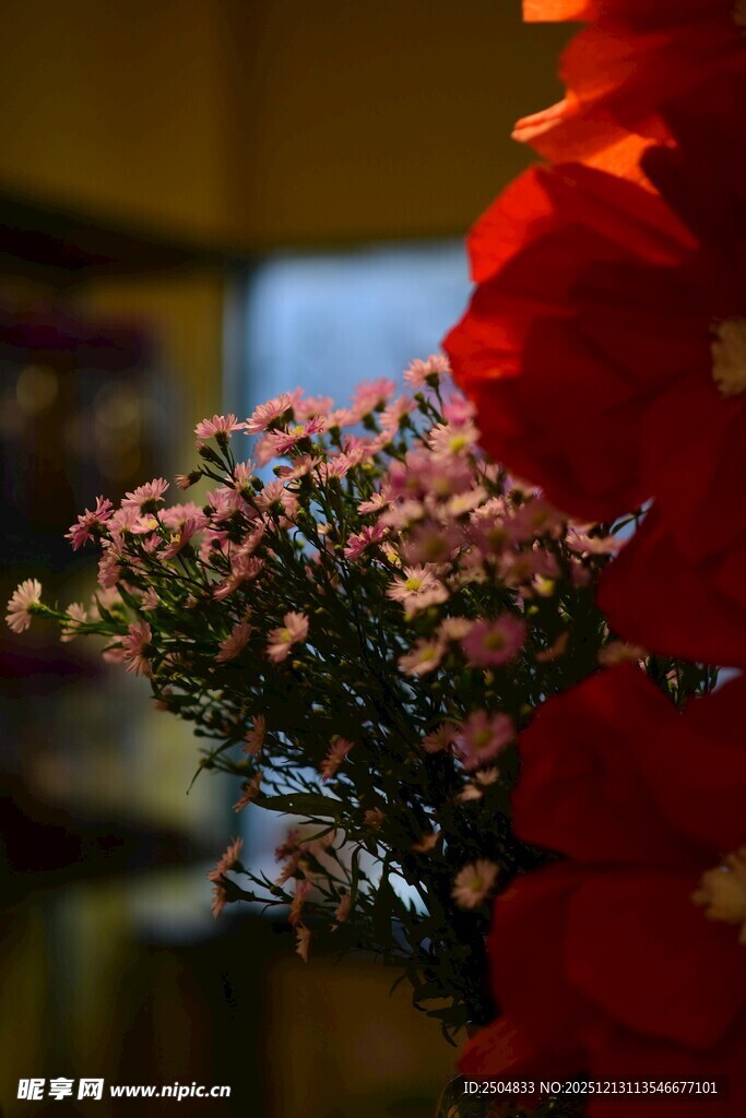 手持花束的红衣人物