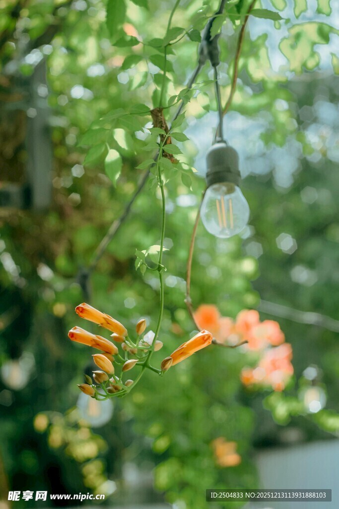 绿植间悬挂的复古风灯具