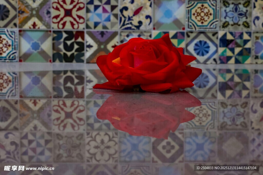 红玫瑰置于多彩瓷砖之上
