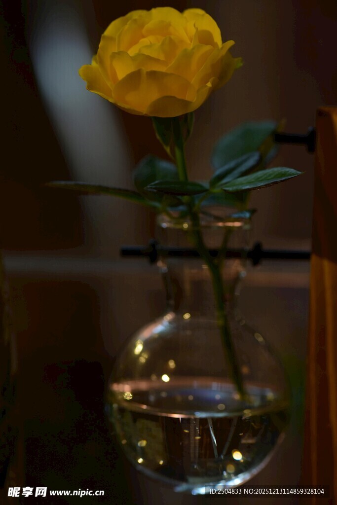 黄玫瑰插于锥形玻璃瓶中
