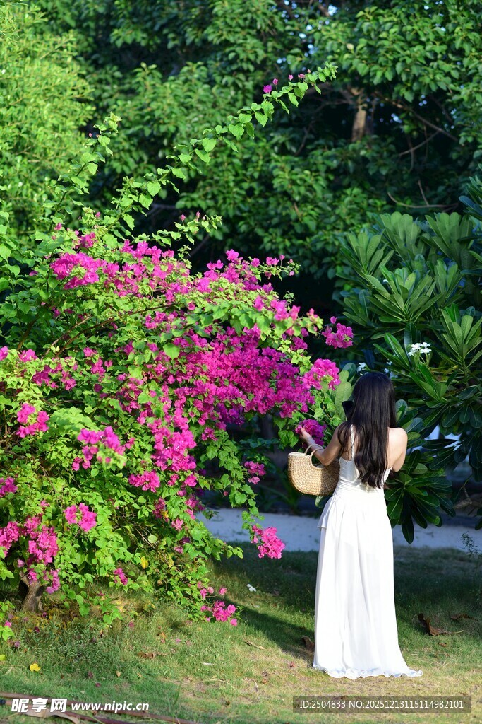 花丛旁的优雅女子