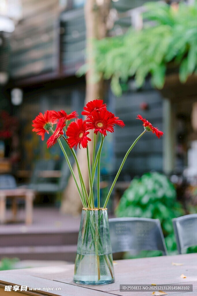 花瓶中绽放的鲜艳红花朵