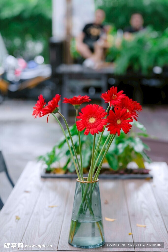 花瓶中绽放的鲜艳红花朵