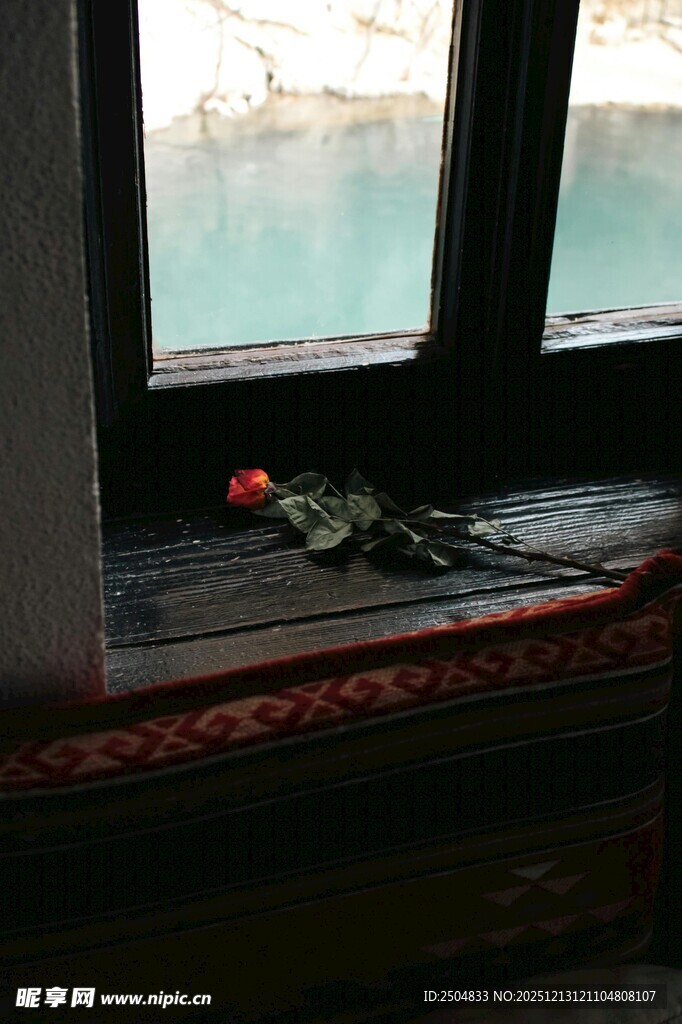 窗边的玫瑰与绿植景象