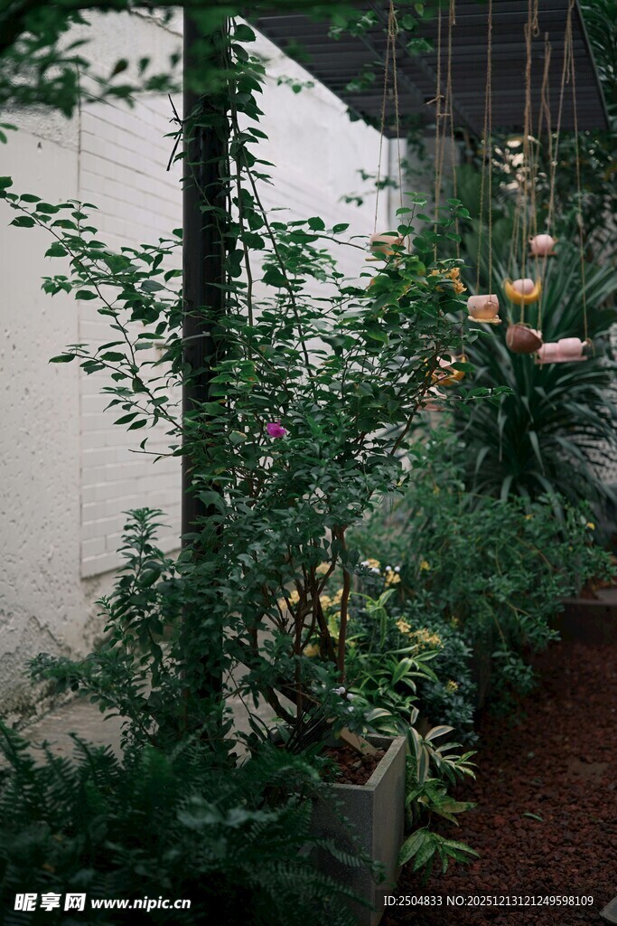 庭院绿植景观一角