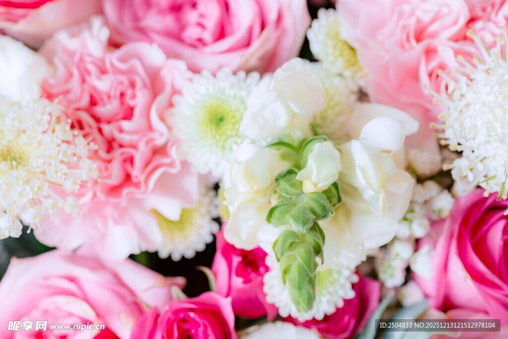 缤纷娇艳花卉组合