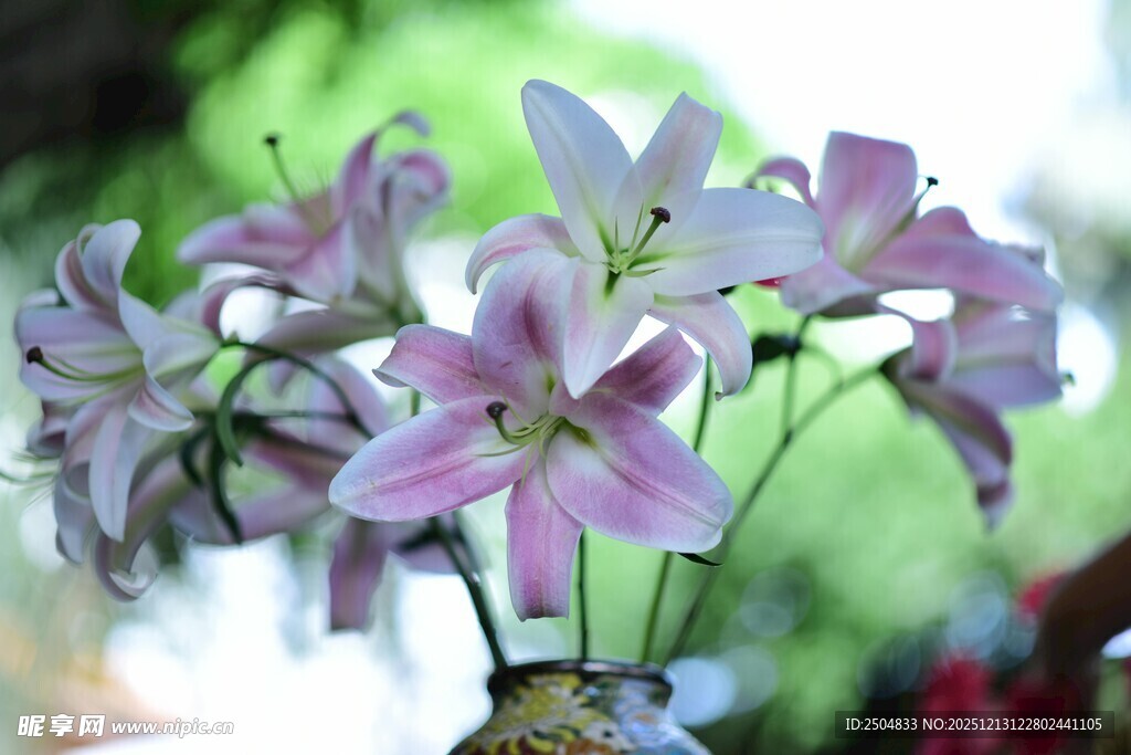 瓶插淡雅粉色系美丽花朵