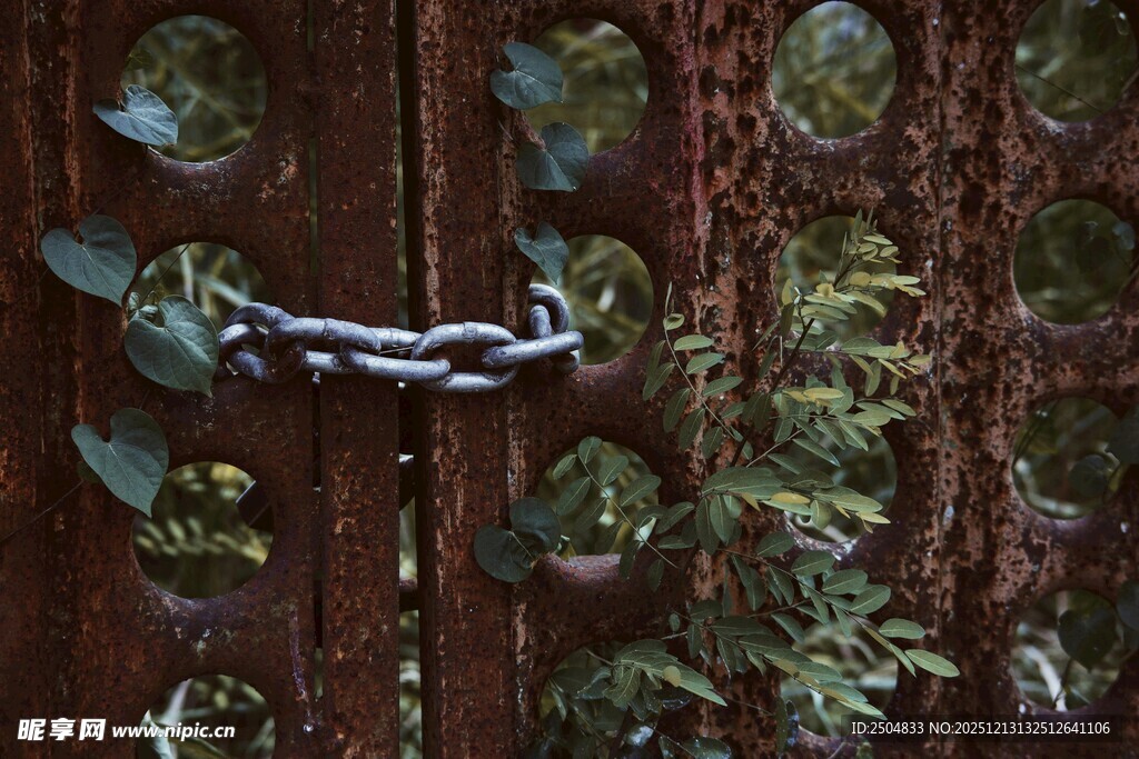 古朴木门上的金属门环