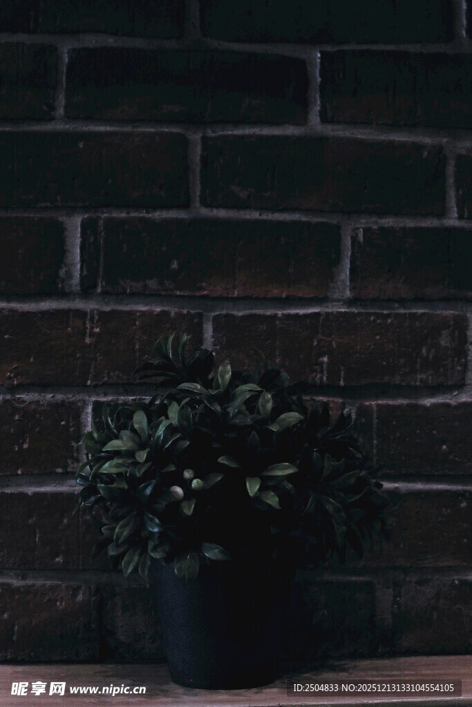 砖墙旁的绿植盆栽