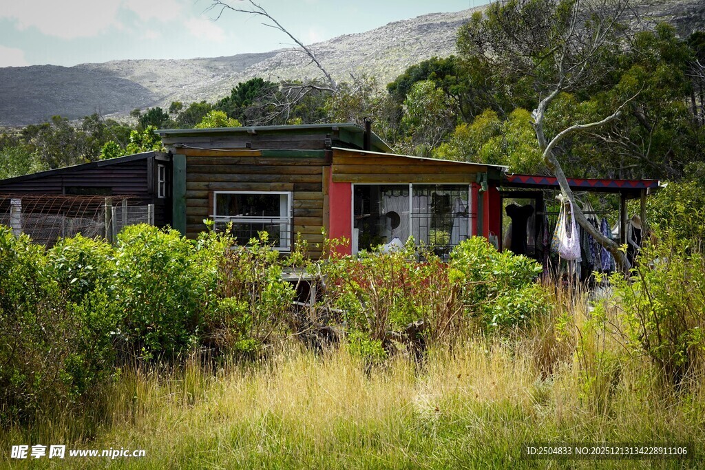 乡村小屋隐于繁茂草木间