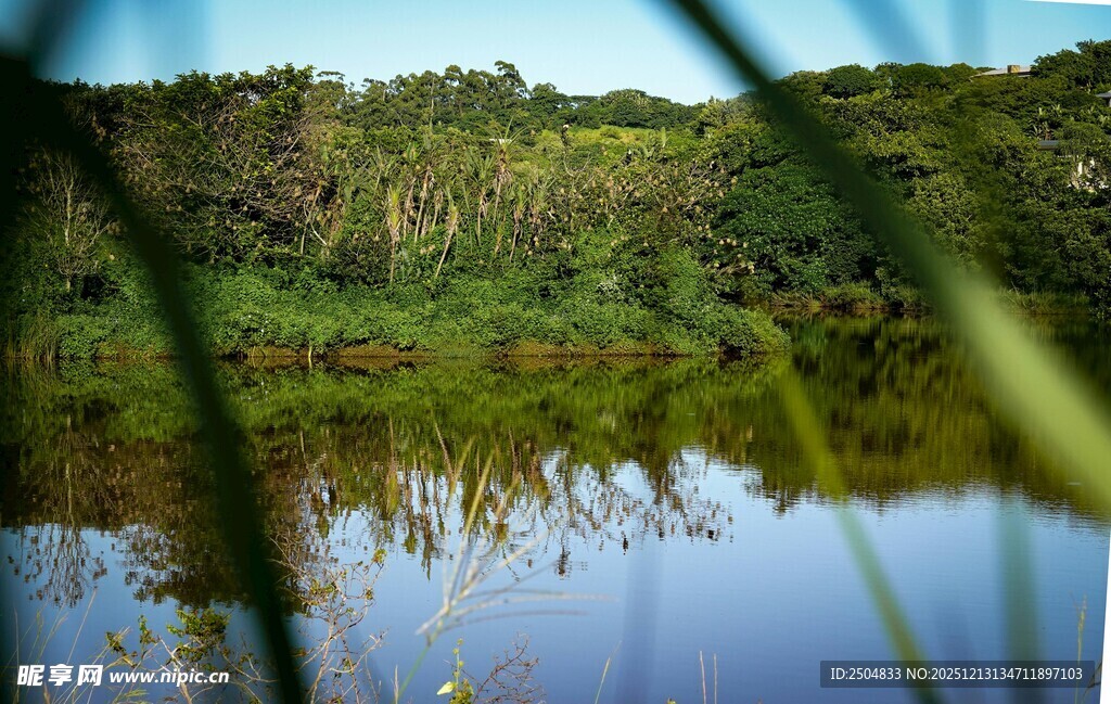 宁静湖畔绿意盎然的景致