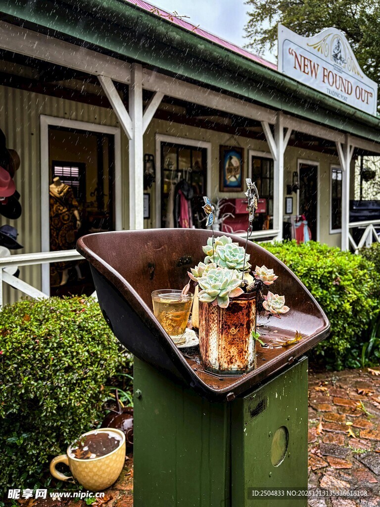 户外绿植旁的美味冰淇淋