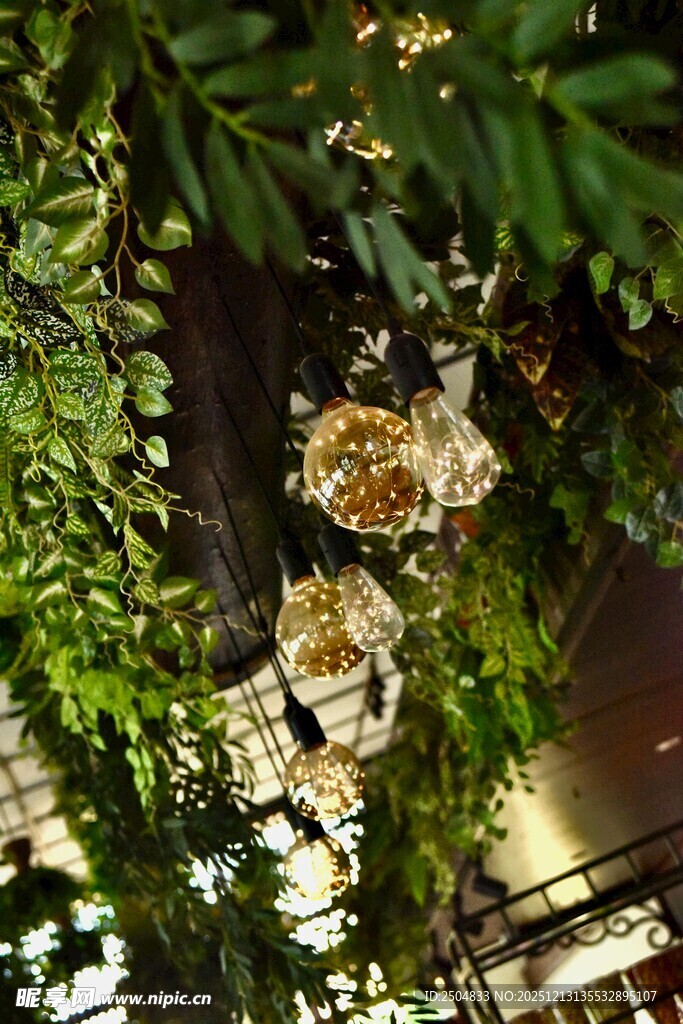 绿叶间绽放的美丽花朵