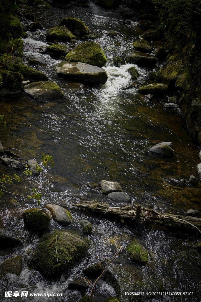 山间溪流 石上青苔美景