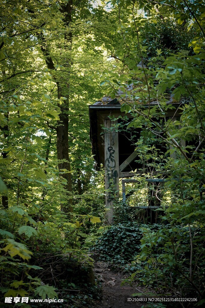 林间隐秘小屋 自然之境