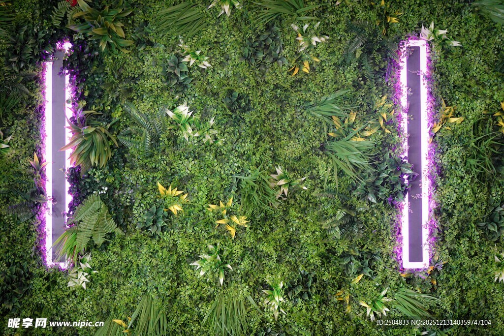 草地上的紫色长条物件