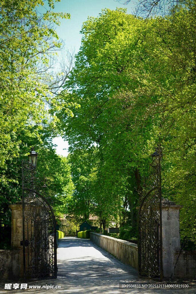 绿荫环绕的静谧小道