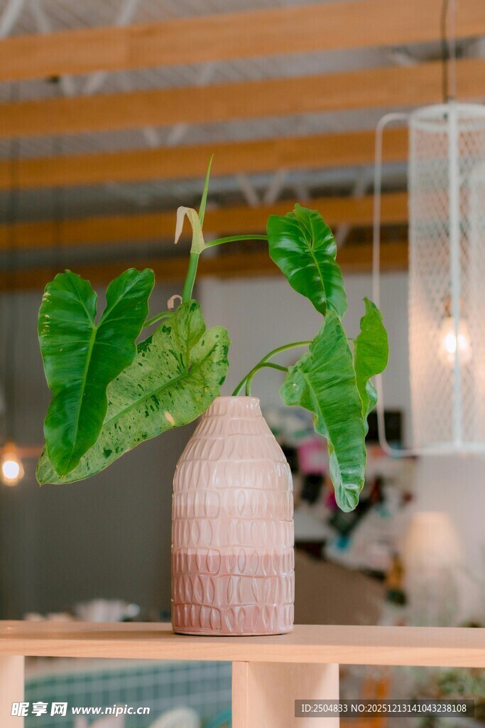 简约花瓶中的绿植装饰