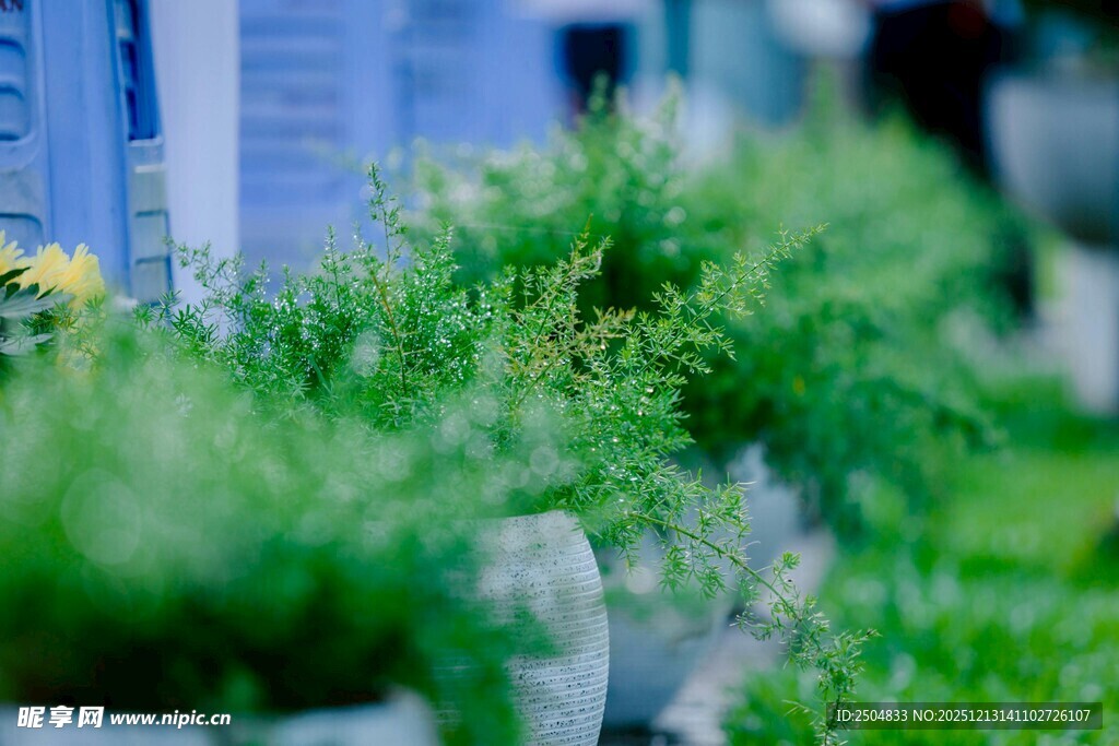 户外绿植盆栽景观