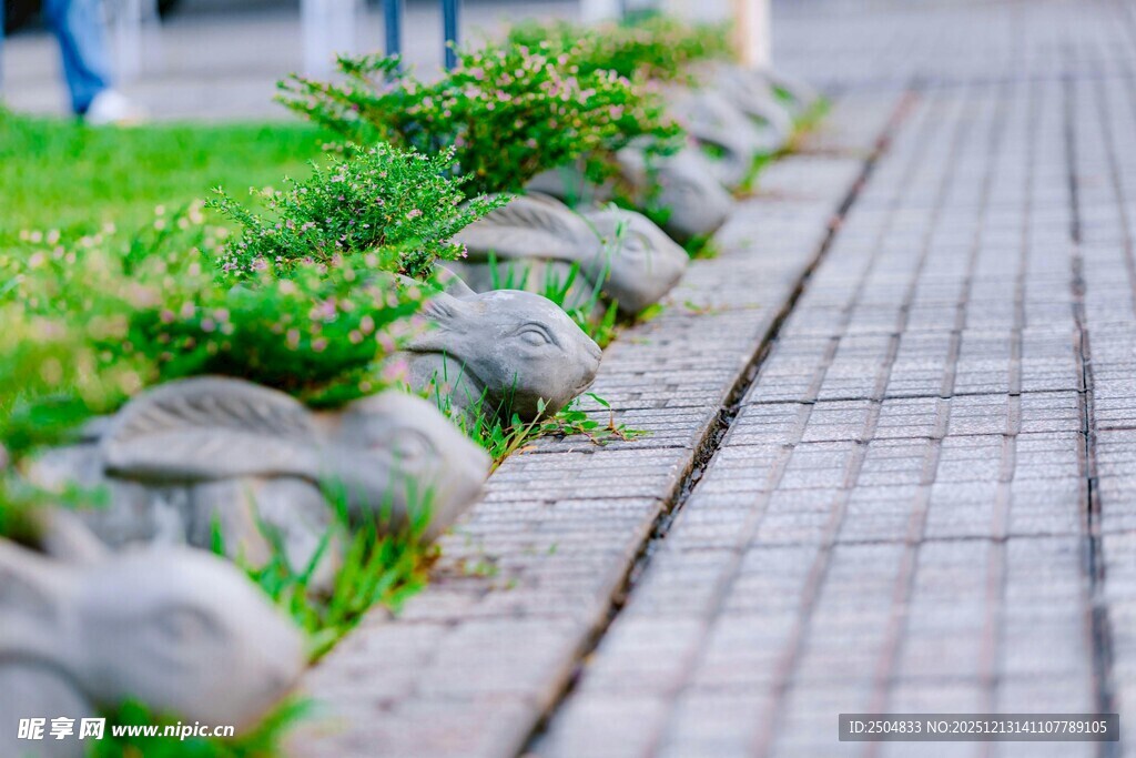 石砌步道边的翠绿植物