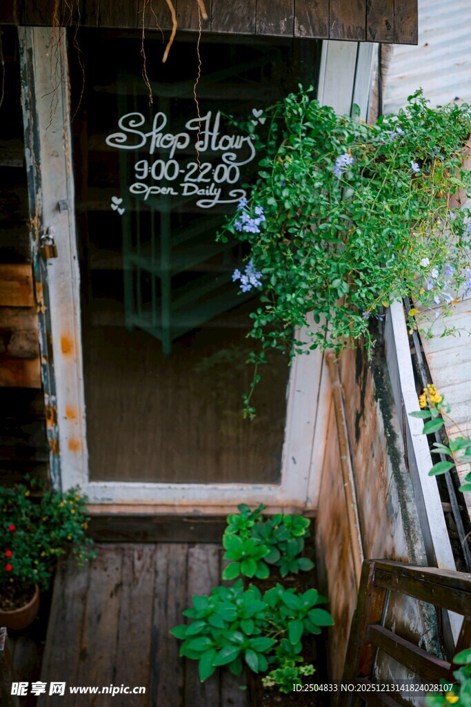 小院绿植环绕的温馨角落