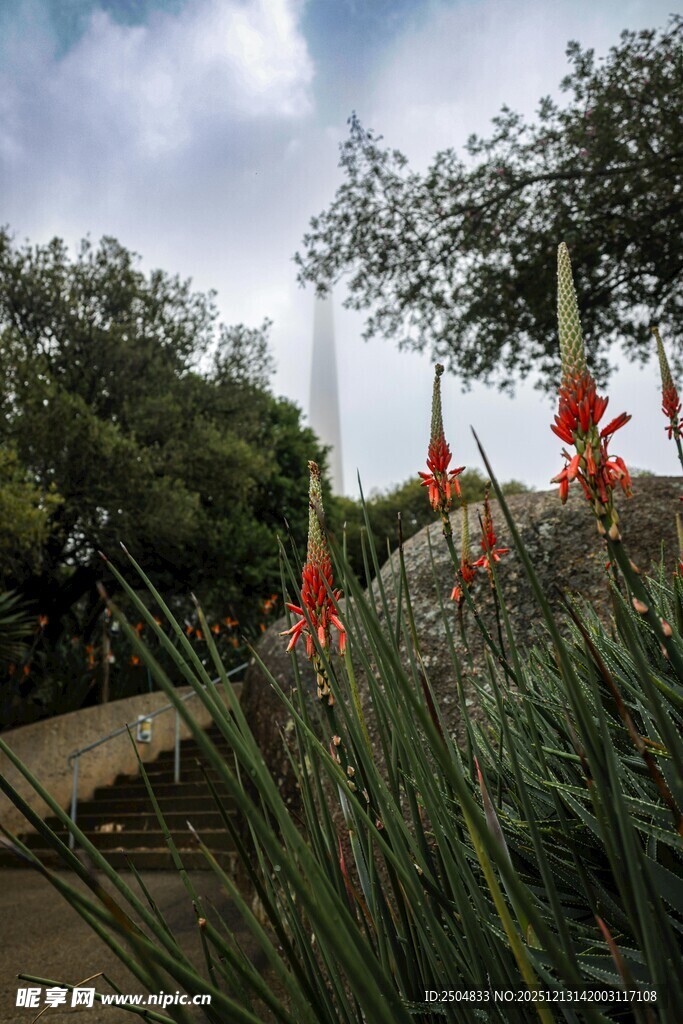 户外绿植与飘扬红旗景观